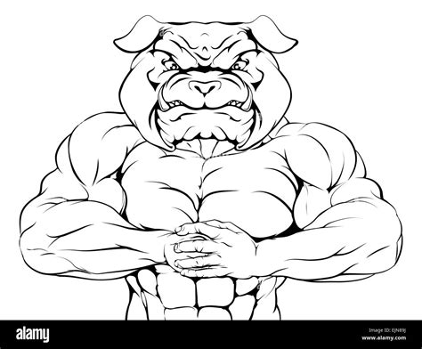 Bulldog mascot Black and White Stock Photos & Images - Alamy