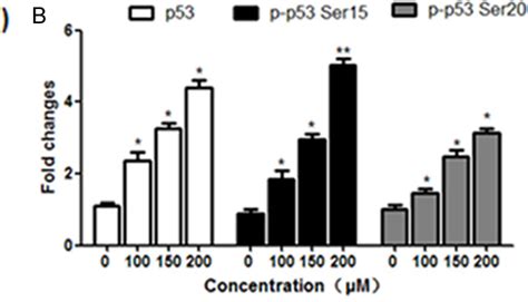 Figure 1 From Formononetin Suppresses The Proliferation Of Human Non