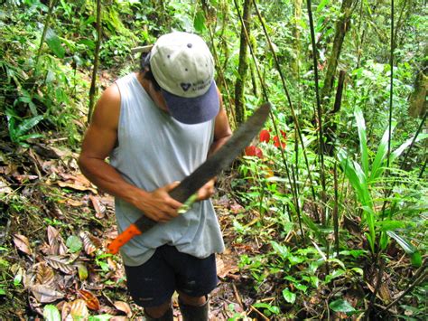 Shuar: Meeting the Headshrinkers of the Amazon Basin | Owlcation