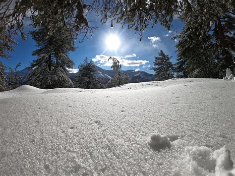 Corsica Snow Winter Col De - Free photo on Pixabay - Pixabay