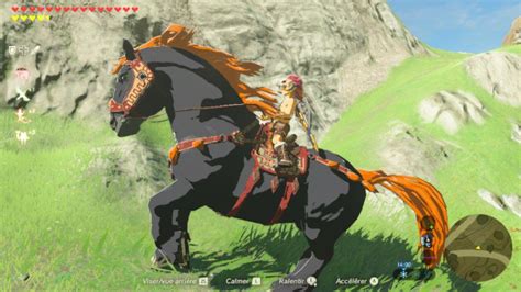 Le Cheval Gant Sur Zelda Breath Of The Wild Botw Cheval