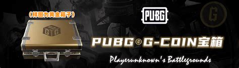 Pubg G Cdk Cdkey