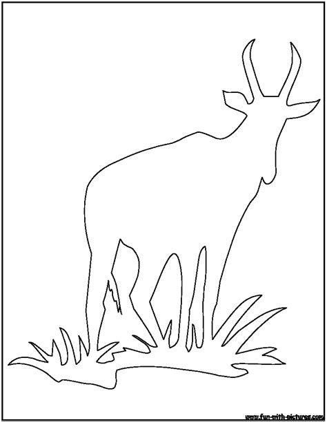 African Animal Outlines Coloring Pages - Free Printable Colouring Pages ...