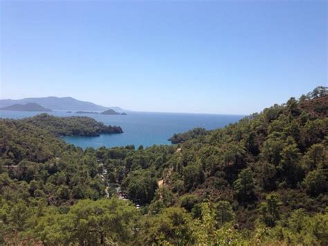 An Aerial View Of Trees And Water From The Top Of A Hill With Mountains