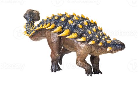 Ankylosaurus Dinosaur Isolated Background Png