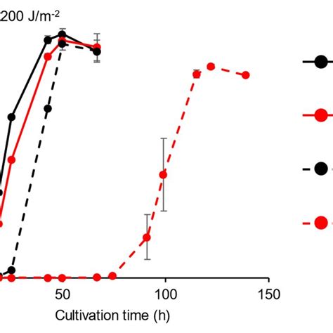 Growth Of The Pbp1 Deletion Strain After Uv B Irradiation Overnight