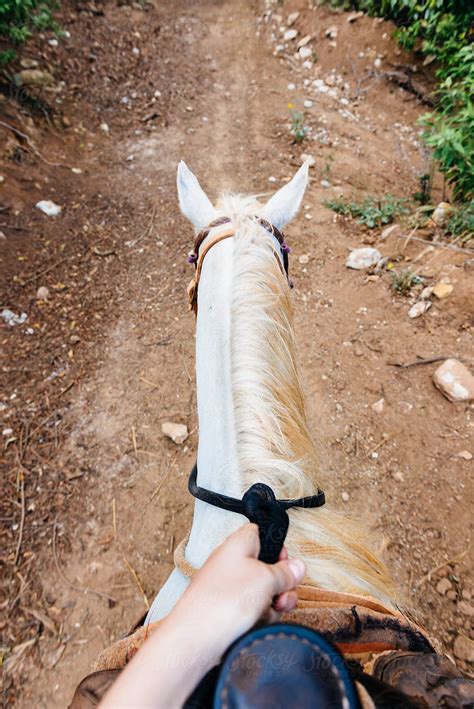 Horseback Riding Pov By Jen Grantham Horseback Riding Horseback