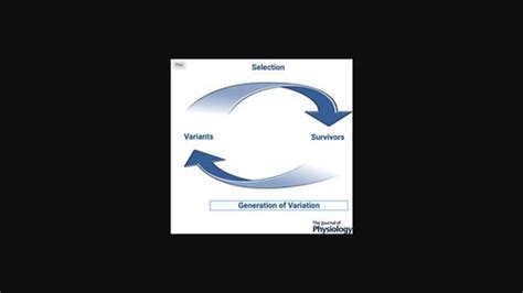 The Journal Of Physiology X Mol