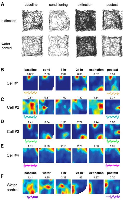 Extinction Of Learned Fear Induces Hippocampal Place Cell Remapping