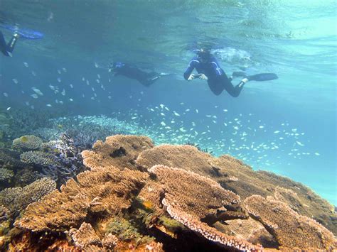 3 Night Ningaloo Snorkel Dive Getaway Sail Ningaloo