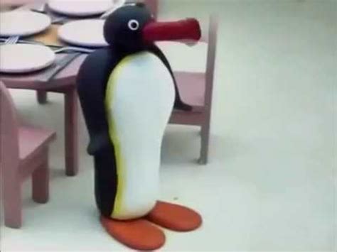 Noot Noot: Video Gallery | Know Your Meme