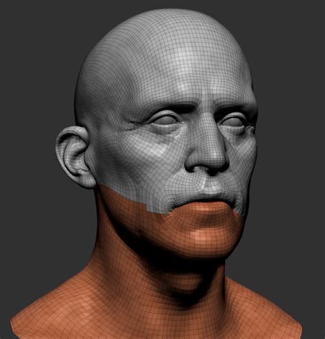 Realistic Male Head 3d Model 47 Obj Ztl Free3d