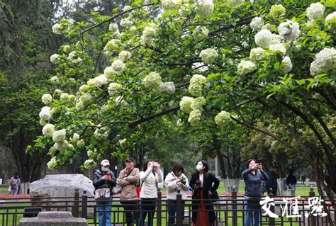 南京小西湖又一祖传老宅焕新，老城如何护“旧”拓“新”？