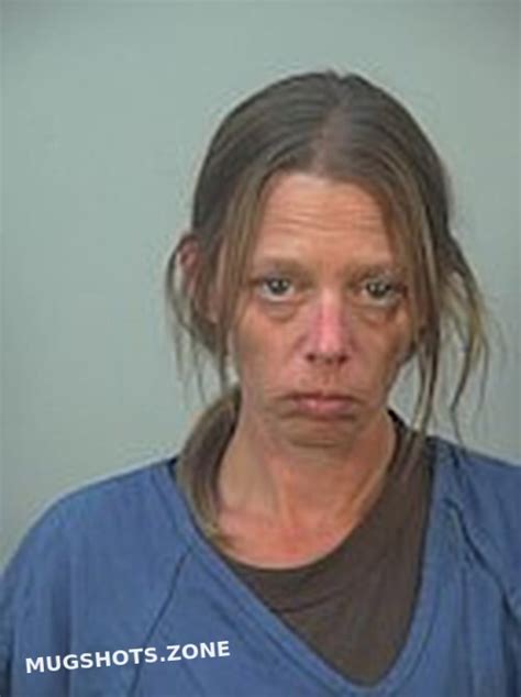 Fox Toni L Dane County Mugshots Zone