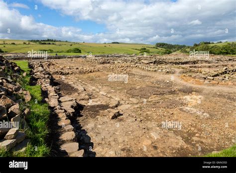 Northumberland, England, UK. Vindolanda Roman Fort, Current Excavations ...