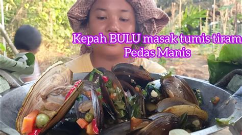 KEPAH BULU MASAK TUMIS PEDAS MANIS CUCURKAN SAUS TIRAM YouTube