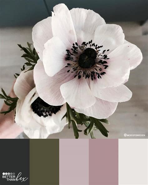 Anemone – Better Than Hex – Color Palette Inspiration