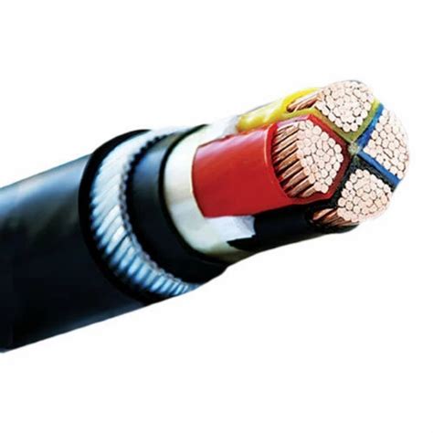 Polycab Lv Bs Power Cable Sq Mm Core At Meter In Pune