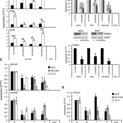 Posterior Hoxd Genes Promote Chondrogenic Differentiation And