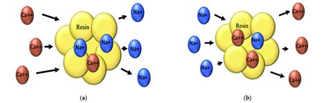 A Schematic Of The Ion Exchange Process And B Resin Regeneration