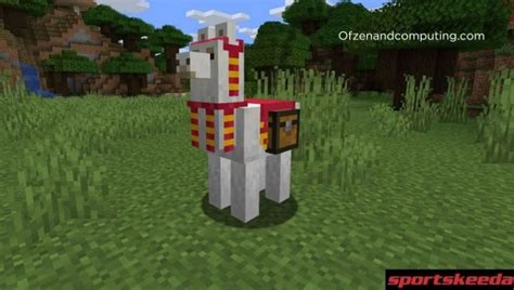 How To Tame A Llama In Minecraft 2024 Step By Step Guide