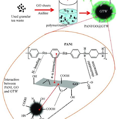 Schematic Diagram For The Synthesis Of The PANI GO GTW Composite