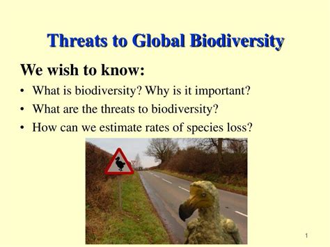 Ppt Threats To Global Biodiversity Powerpoint Presentation Free