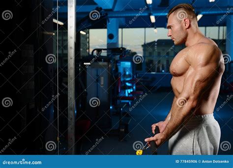 Handsome Muscular Bodybuilder Man Doing Exercises In Gym Stock Photo