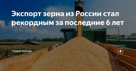 Экспорт зерна из России стал рекордным за последние 6 лет | ГлавАгроном ...