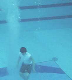 Diving GIF - Find & Share on GIPHY