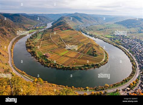 Mosel Schleife Im Herbst Blick Vom Calmont Bremm Rheinland Pfalz