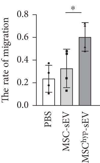 Mschyp Sevs Promoted Tube Formation And Migration Of Huvecs A Download Scientific Diagram