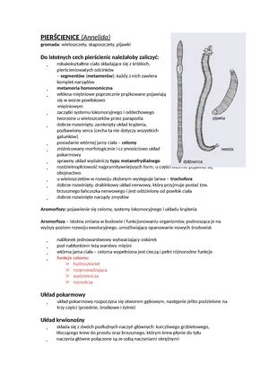 Test Genetyka Molekularna Test Z Widoczn Punktacj Grupa A