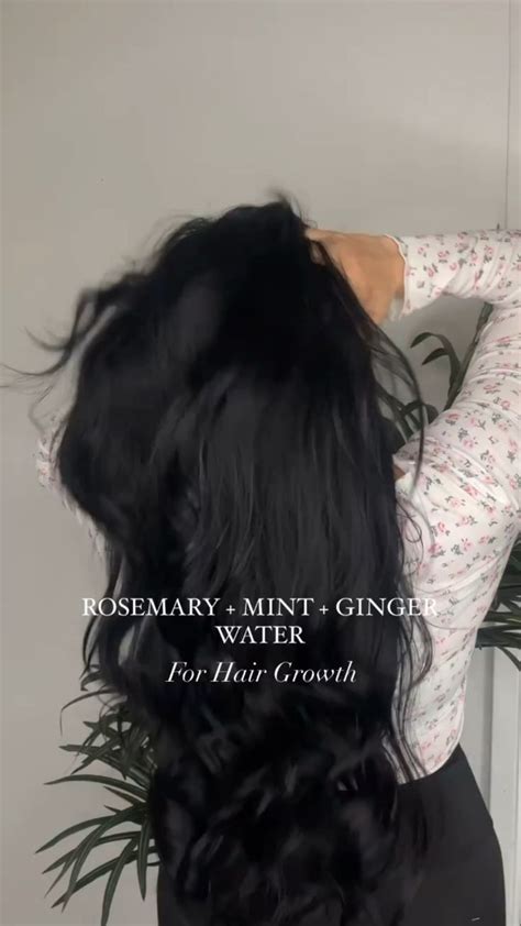 Hair Care Hair Growth Rosemary Oil Rosemary Mint Ginger Water For