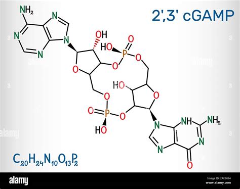 C Gmp Amp 23 Cgamp Cyclic Guanosine Monophosphate Adenosine