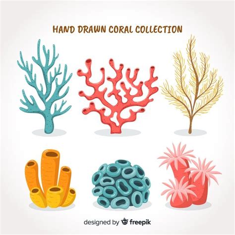 Colección De Corales Dibujados A Mano Vector Premium Coral Drawing Coral Art Coral Reef Art