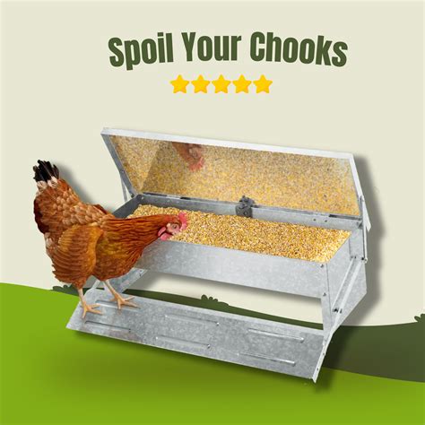 Automatic Chicken Feeder – premiumpawproducts