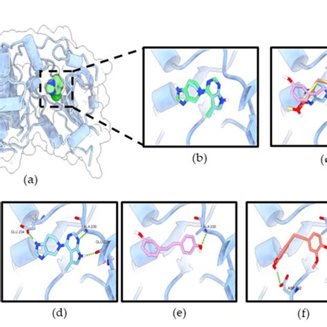 RD2 Inhibits Akt Activity Via Interaction With The Allosteric Binding