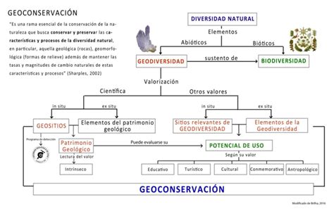 Esquema Conceptual De La Diversidad Natural Modificado De Brilha 2016