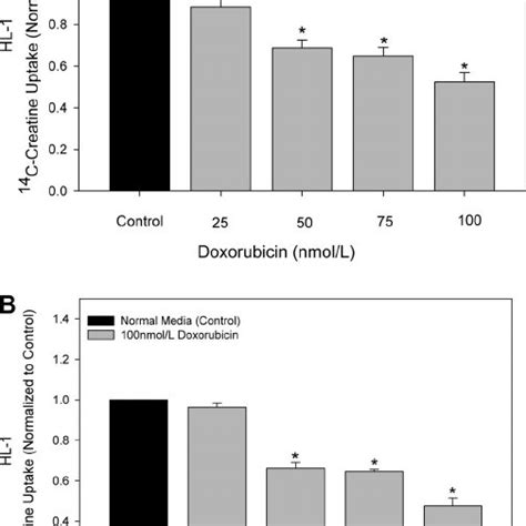 Time Course And Dose Response Effects Of Dox On Hl 1 Cells Hl 1 Cells Download Scientific