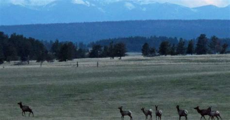 Dan and Farris Wilks consider opening 16,000 acres to hunting