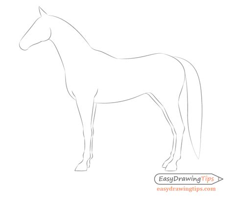 How to Draw a Horse From the Side View Tutorial - EasyDrawingTips