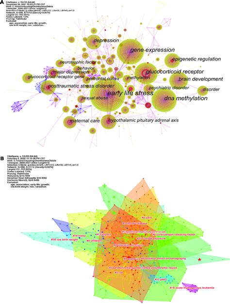 A Visualization Of The Keyword Co Occurrence Network B Cluster