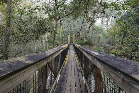 Ravine Gardens Palatka Florida Hikes