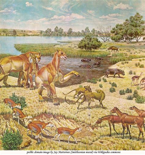 Pliocene Epoch 53322588 Ma Animales De La Prehistoria Animales