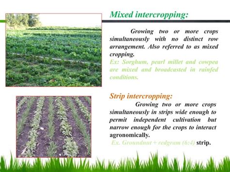 Cropping Systems And Farming Systemsppt Lodha Intro Ppt