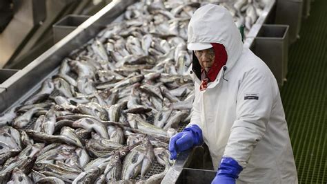 Alaska pollock fishing: It runs in the family