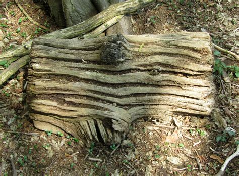 Some Epping Forest Shopping Park shops have a secret sale 13