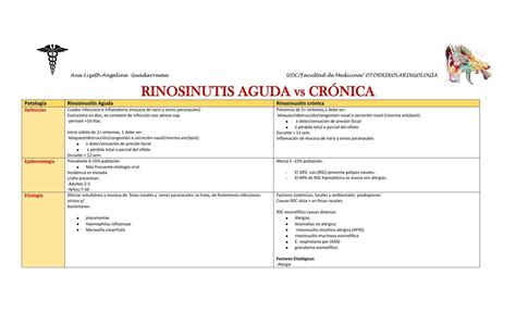 Rinosinusitis Aguda y Crónica Lizeth Angelina uDocz