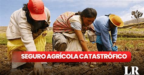 Seguro Agr Cola Catastr Fico Gobierno Entrega Desde S Por